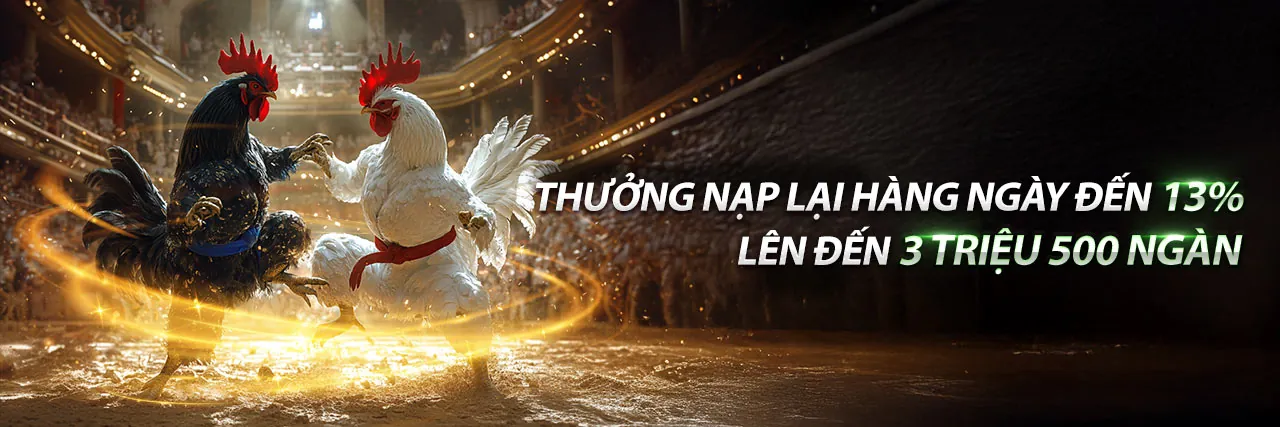 Trận đấu đá gà sôi động tại fh88 code